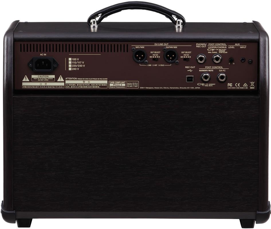 Boss Acoustic Singer Pro Combo