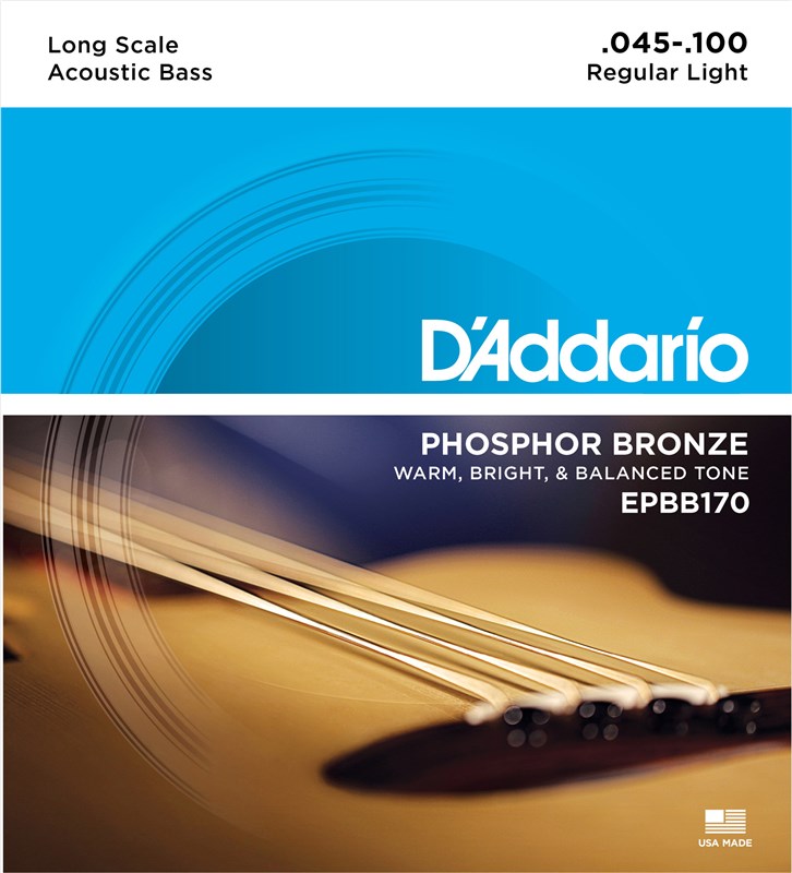 D'Addario EPBB170 Phosphor Bronze Acoustic Bass