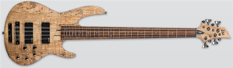 ESP LTD B-208SM Bass, Spalted Maple