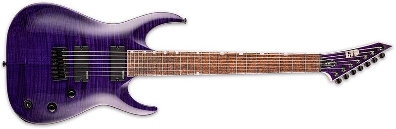 ESP LTD SH-207 Brian Welch See Thru Purple 1