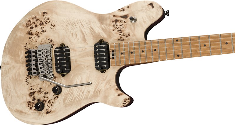 EVH Wolfgang WG Standard Exotic Poplar Bur