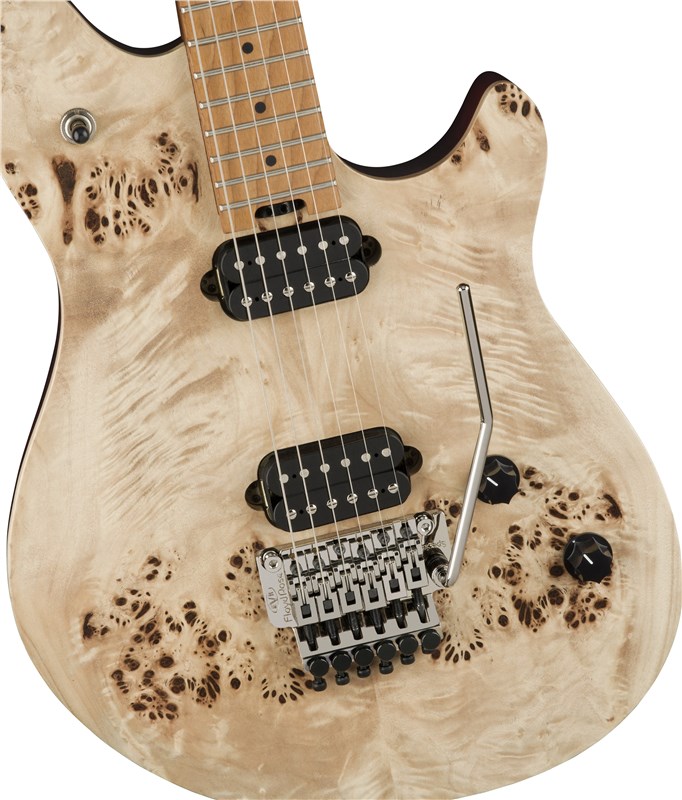 EVH Wolfgang WG Standard Exotic Poplar Bur