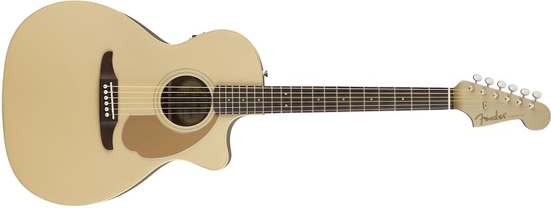 Fender Newporter Player 