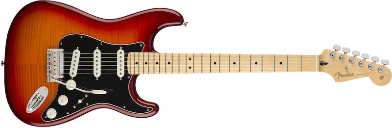 Player Stratocaster Plus Top ACB Maple