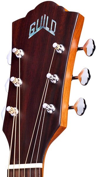 Guild D-240E Limited Flamed Mahogany