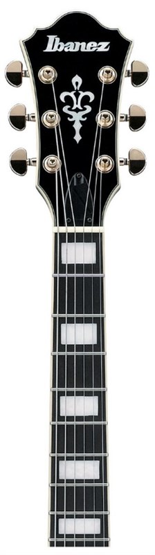 Ibanez AG95QA-DBS Neck