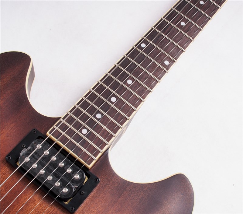 IbanezAS53TF07