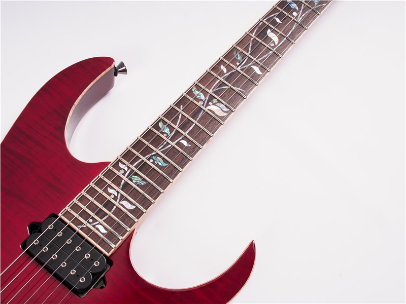 IbanezRG8520jcustomAG_6