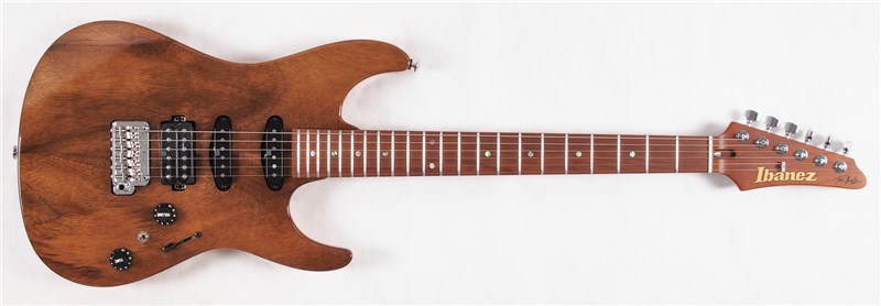 IbanezTQM1NTTQuayleSigNatural01