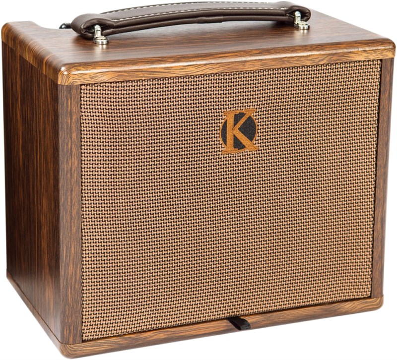 Kinsman KAA25 Acoustic Amplifier 1