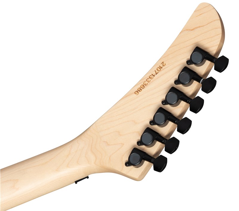 KSTMFRHSSEBBF1_headstock_back