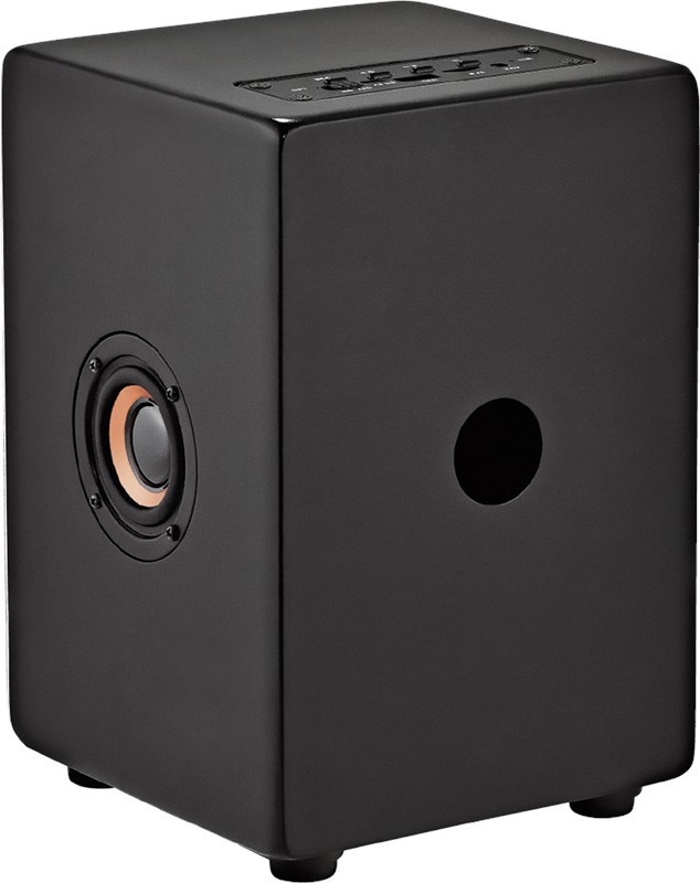 Meinl Mini Cajon Speaker