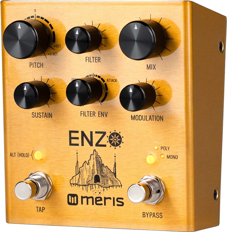 Meris Enzo Multi-Voice Synth Pedal 3/4