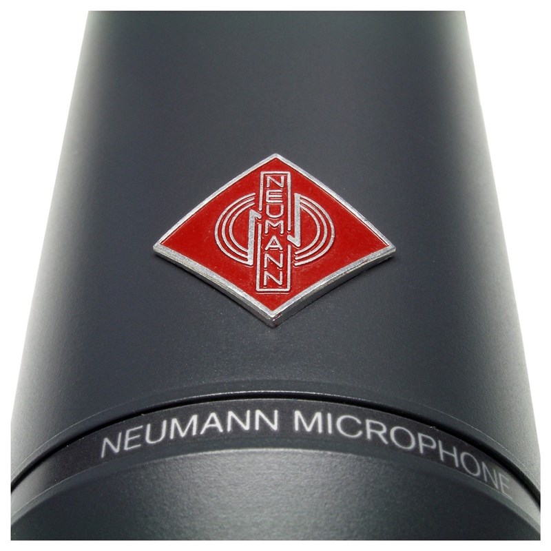 Neumann TLM 193 