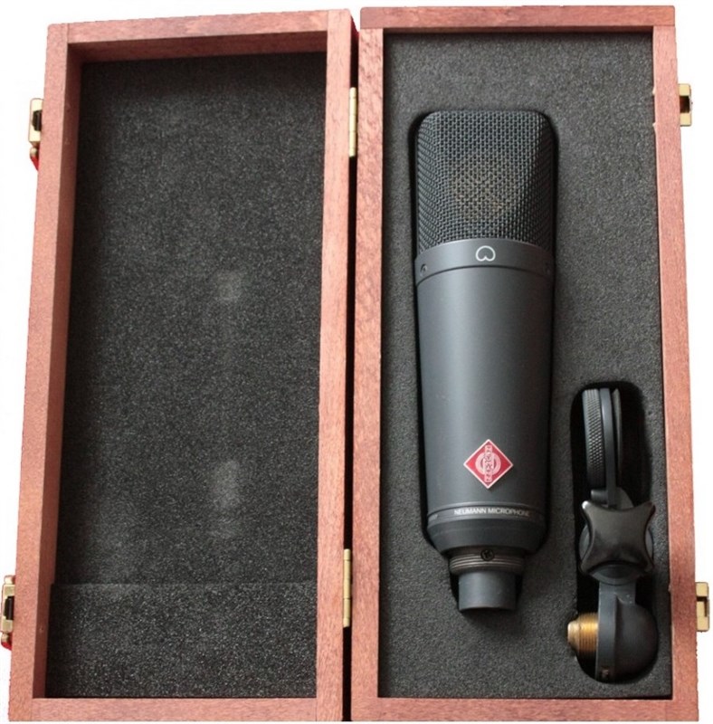 Neumann TLM 193 