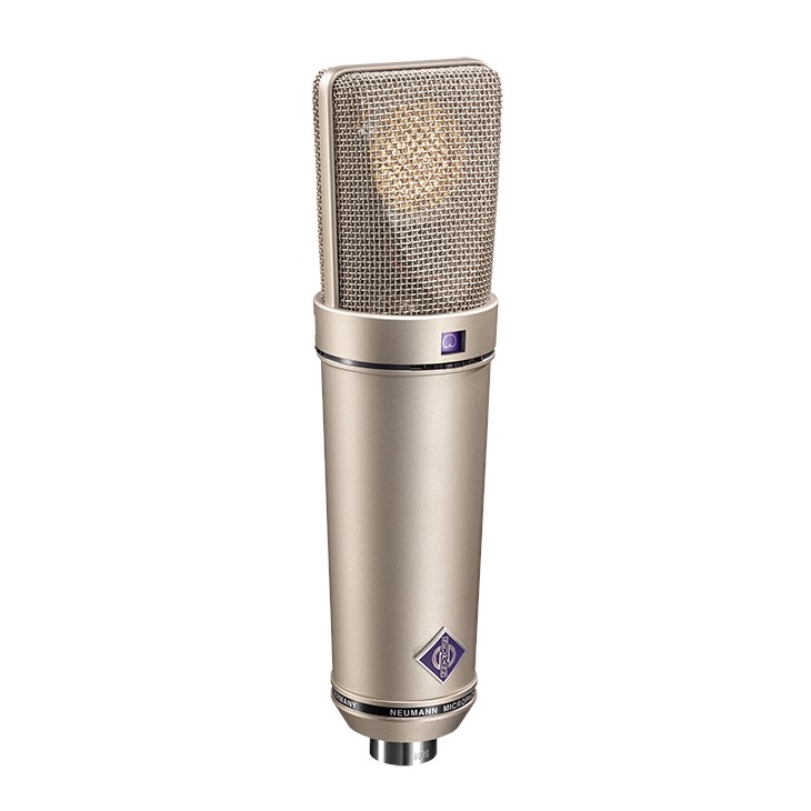 Neumann U 89 i Large Diaphragm Condenser Mic