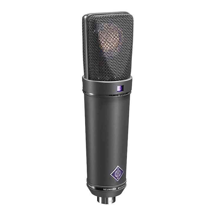 Neumann U 89 i mt Large Diaphragm Condenser Mic