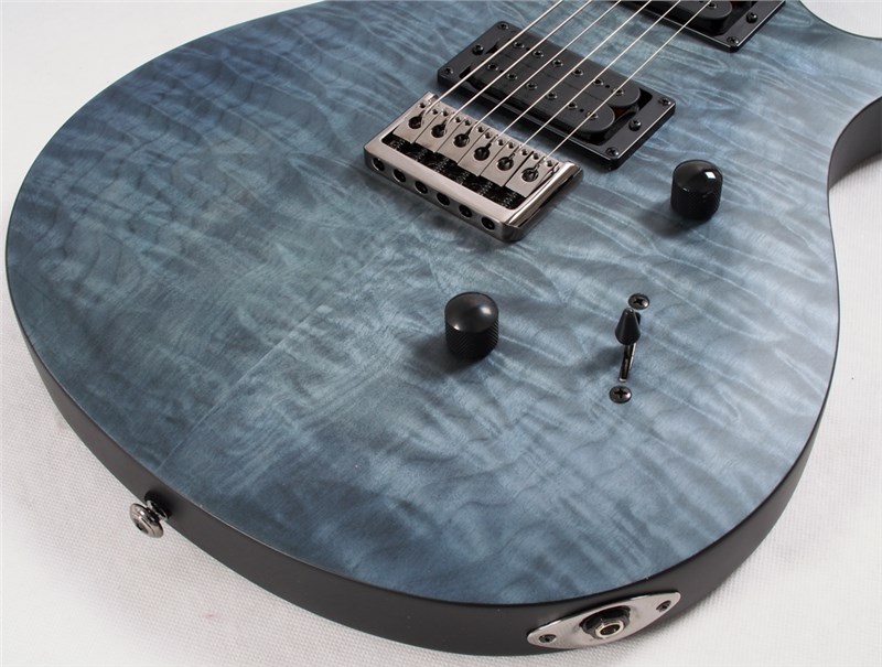 Prs se mark holcomb deals whale blue