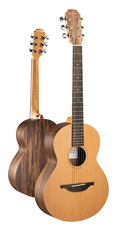 Sheeran by Lowden W-01 front and back