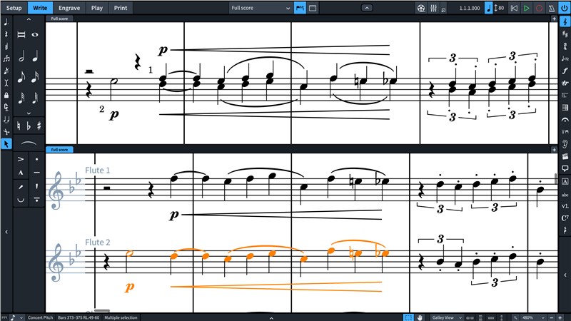 Dorico Elements 3 Scoring Software