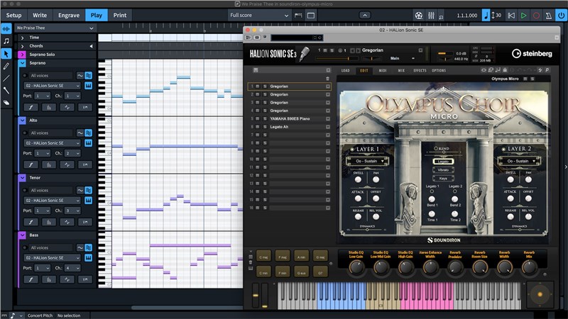 Dorico Elements 3 Scoring Software