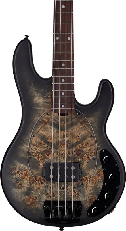 Sterling RAY34PB StingRay Trans Black Satin 1