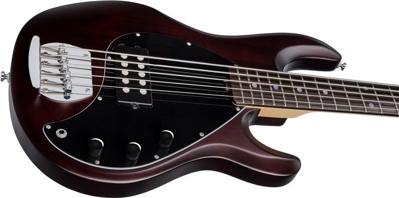 Sub by Sterling Ray5 Bass Walnut Satin Lower Bout