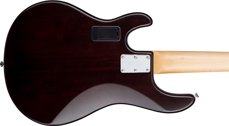 Sub by Sterling Ray5 Bass Walnut Satin Body Back