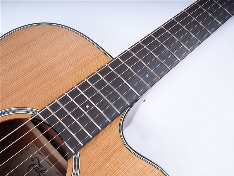 TakamineTKEF740FSTT-FrontNeck