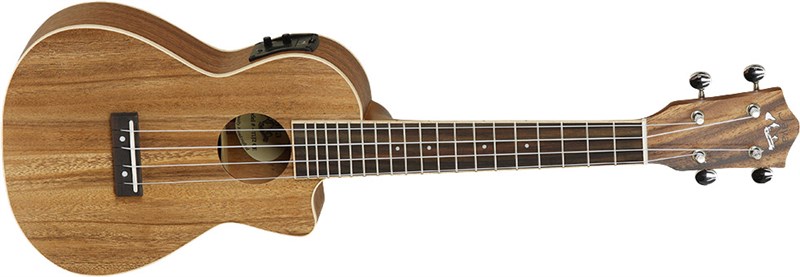 Tanglewood TUJ 2 CE Java Main