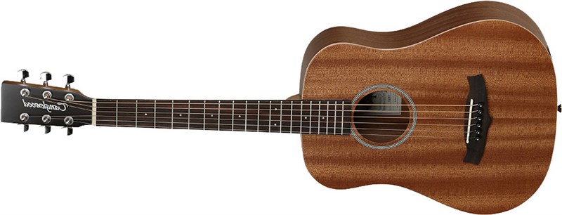 Tanglewood TW2 T Winterleaf Travel Acoustic