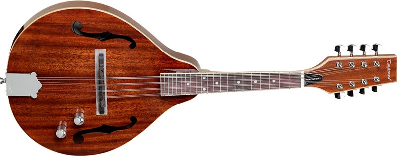 Tanglewood TWM T MH STE Mandolin Front