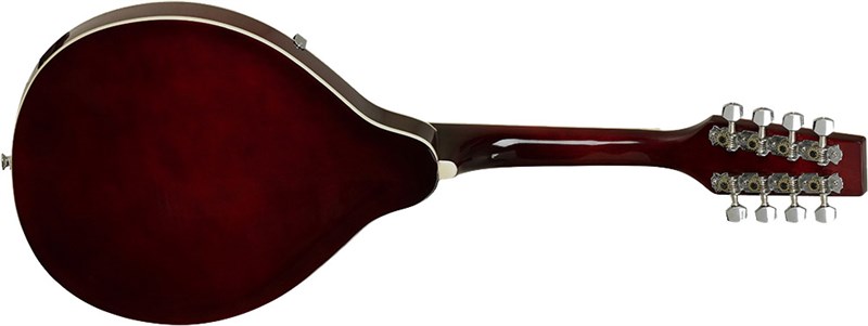 Tanglewood TWM T WR Mandolin Back