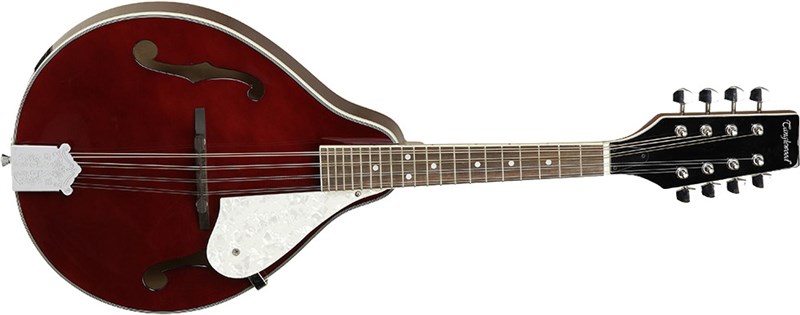 Tanglewood TWM T WR Mandolin Front