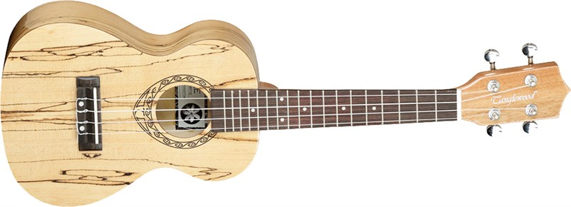 Tanglewood TWT 10 Tiare Concert Ukulele 1