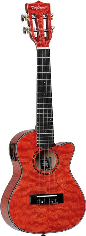 Tanglewood TWT25E Concert Ukulele 2