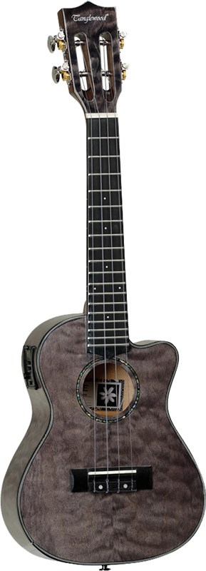 Tanglewood TWT27E Concert Ukulele 2