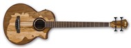 Ibanez AEWB50-NT (Natural)