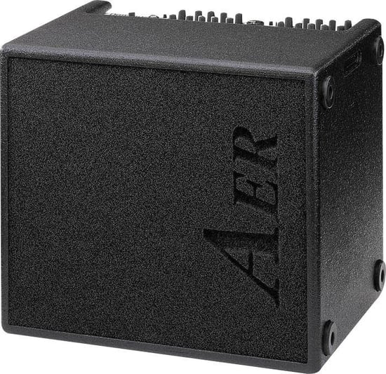 AER Domino 2A 100W 2x8 Acoustic Combo