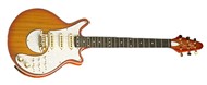 Brian May Guitars Brian May Signature Model (Honey Sunburst)