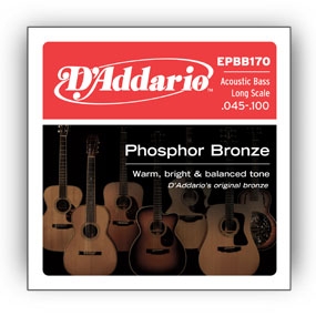 DAddario EPBB170 Phosphor Bronze Acoustic Bass (45-100)