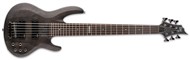 ESP LTD B-206SM Bass, Spalted Maple, 6 String, See-Thru Black Satin