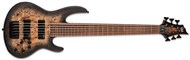 ESP LTD D-6 6 String Bass, Black Natural Burst Satin