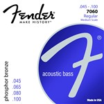 Fender 7060 Acoustic Bass Guitar Phosphor Bronze Strings (32 Scale, 45-100)