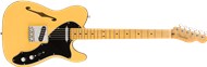 Fender Artist Series Britt Daniel Telecaster Thinline, Amarillo Gold