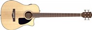 Fender CB-100CE (Natural)