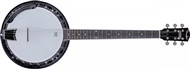 Fender Rustler 6-String Banjo