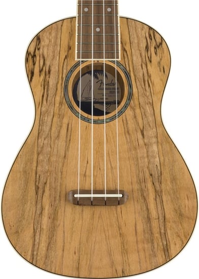 Fender Zuma Exotic Concert Ukulele, Walnut Fingerboard, Spalted Maple