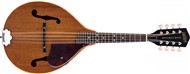 Gretsch G9310 New Yorker Supreme Mandolin