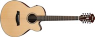 Ibanez AEL108MD-NT 8 String (Natural)